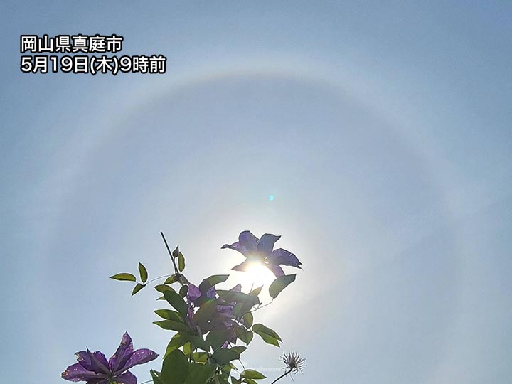 西日本でハロが出現　太陽の周囲に光のリング - ウェザーニュース