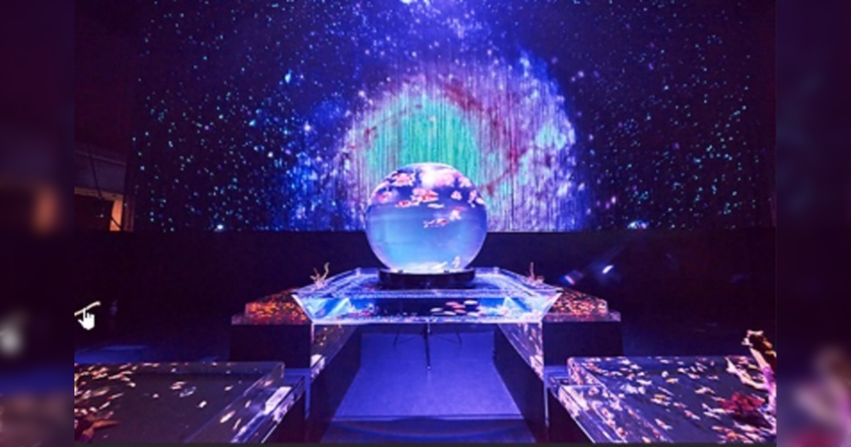 アートアクアリウム展の管理が杜撰すぎると批判が殺到。 - Togetter