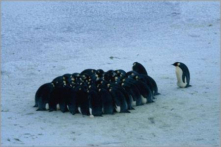 【ぼっち】っぽい画像!