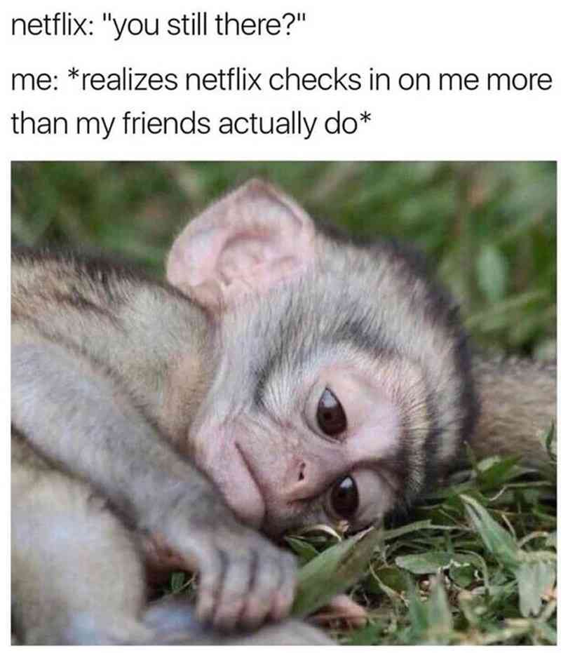 【ぼっち】っぽい画像!