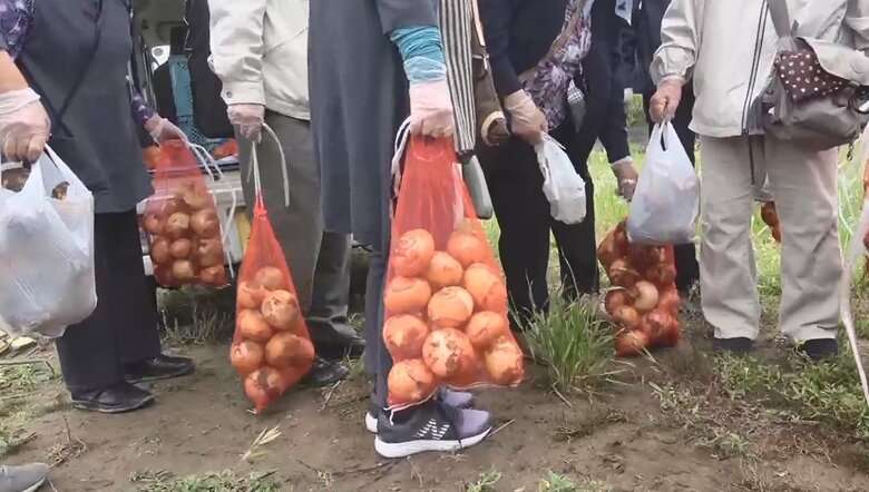 「タマネギ収穫ツアー」が人気　肉厚な千葉産が”10キロ1200円”…高騰続き格安求めて観光バス殺到