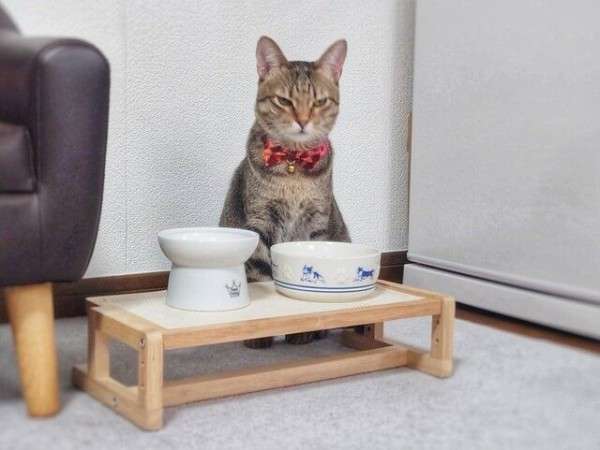 寝る前にクスッとする画像part2