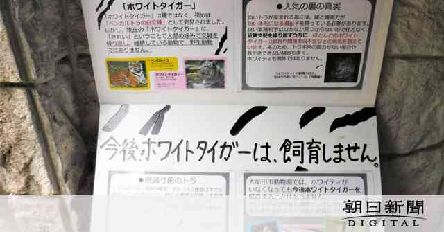 「ホワイトタイガー飼いません」看板に込めた園の思い：朝日新聞デジタル