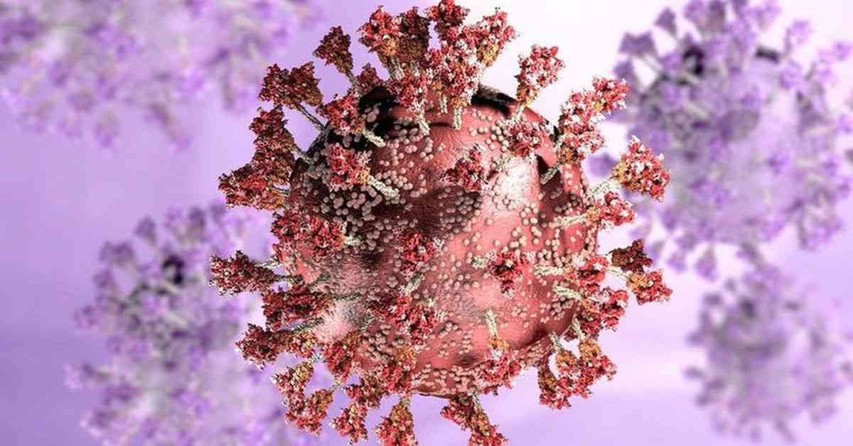 Coronavirus update Australia: NSW records 24,803 COVID-19 cases, eight deaths; Victoria records 10,259 cases, 11 deaths; BA.2 taking country 