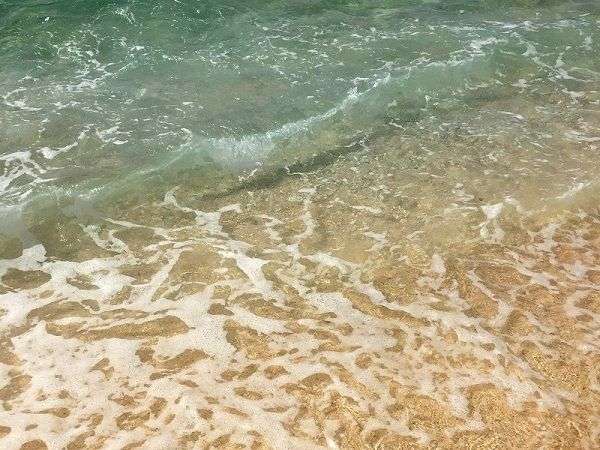 「シュノーケリング中の女性がおぼれた」石垣島で東京から来た70歳の観光客が死亡　5月に島で相次ぎ水難 | 沖縄タイムス＋プラス　ニュース | 沖縄タイムス＋プラス