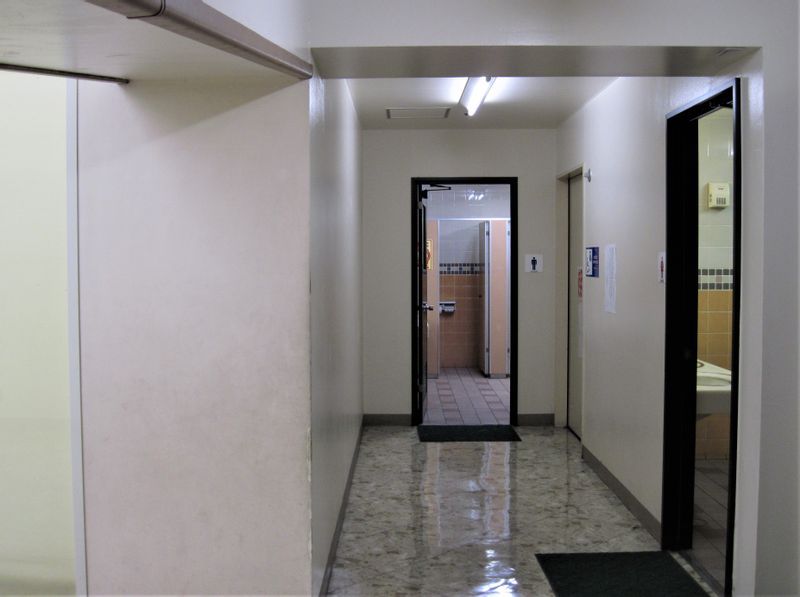 なぜ日本のトイレは犯罪の標的になるのか　個人（自己責任）で防ぐ日本、場所（デザイン）で守る海外