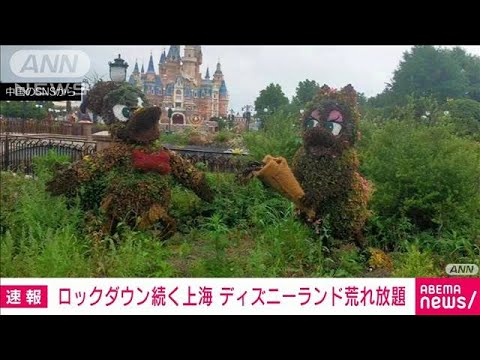 上海ロックダウン2カ月　「夢の国」が・・・ディズニーランドが荒れ放題(2022年5月28日) - YouTube