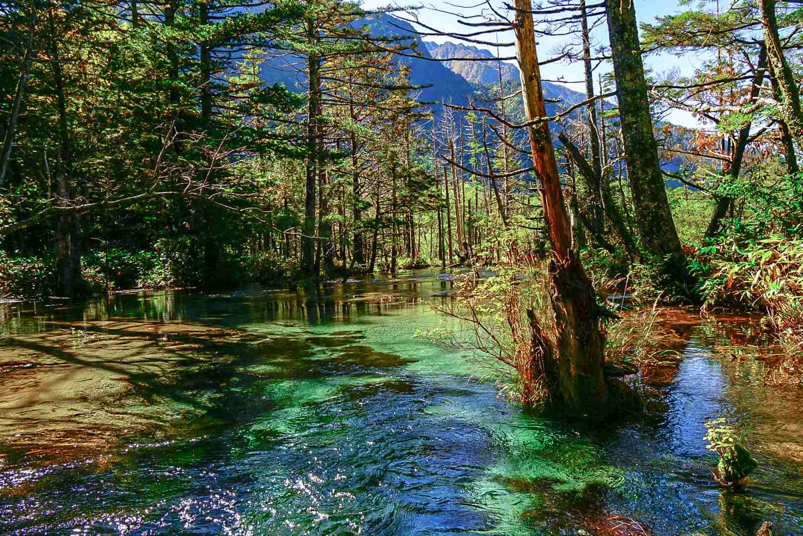 あなたが撮った山の写真見せて！