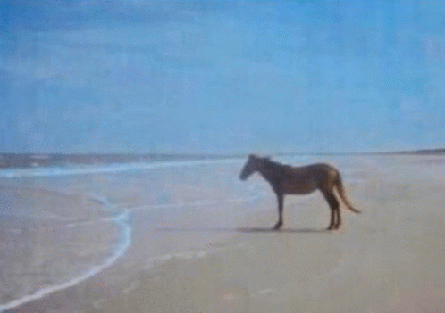 【ぼっち】っぽい画像!