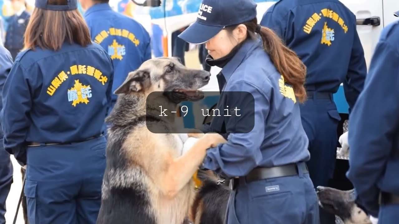 山梨県警察 K-9 愛嬌いっぱいの警察犬 ep1 - YouTube