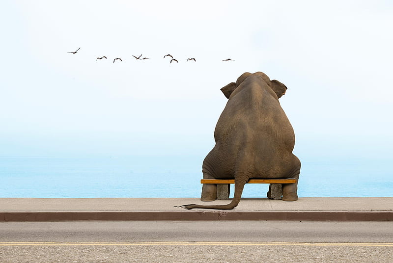 【ぼっち】っぽい画像!