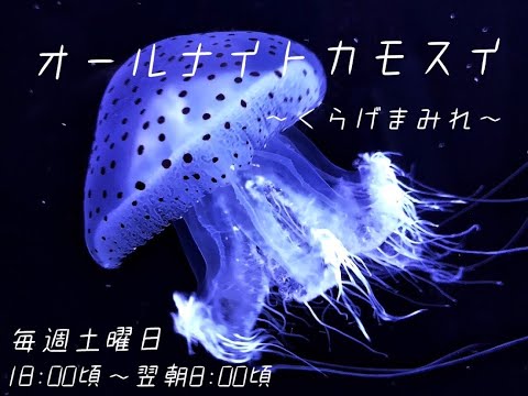 オールナイトカモスイ　～くらげまみれ～ #46 ヒョウガライトヒキクラゲ - YouTube