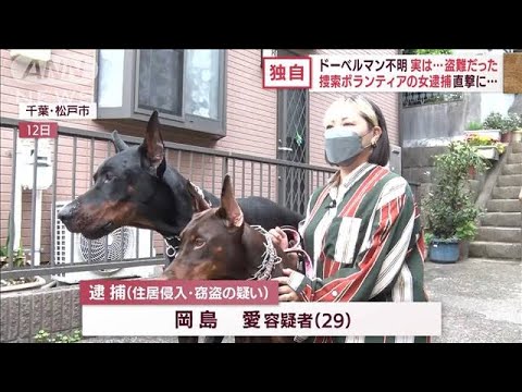 【独自】ドーベルマン不明・・・実は盗難　逮捕前に女を直撃！(2022年5月19日) - YouTube