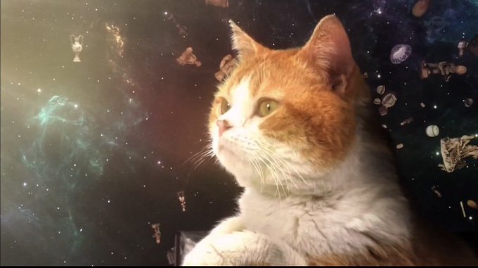 この番組のオープニング or エンディングが好き。