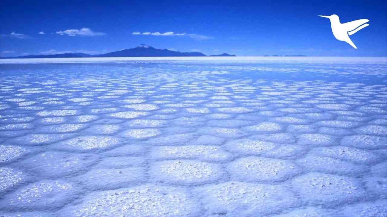 『この地球に山や森は存在しない』 （前編） - YouTube
