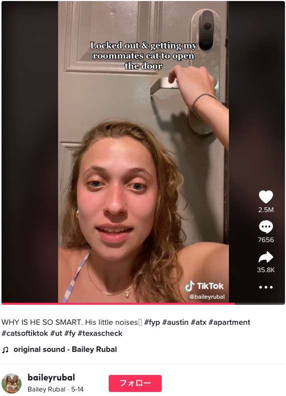 【海外発！Breaking News】オートロックで外に締め出された女性、中にいる猫にドアを開けてもらう（米）＜動画あり＞ | Techinsight（テックインサイト）|海外セレブ、国内エンタメのオンリーワンをお届けするニュースサイト