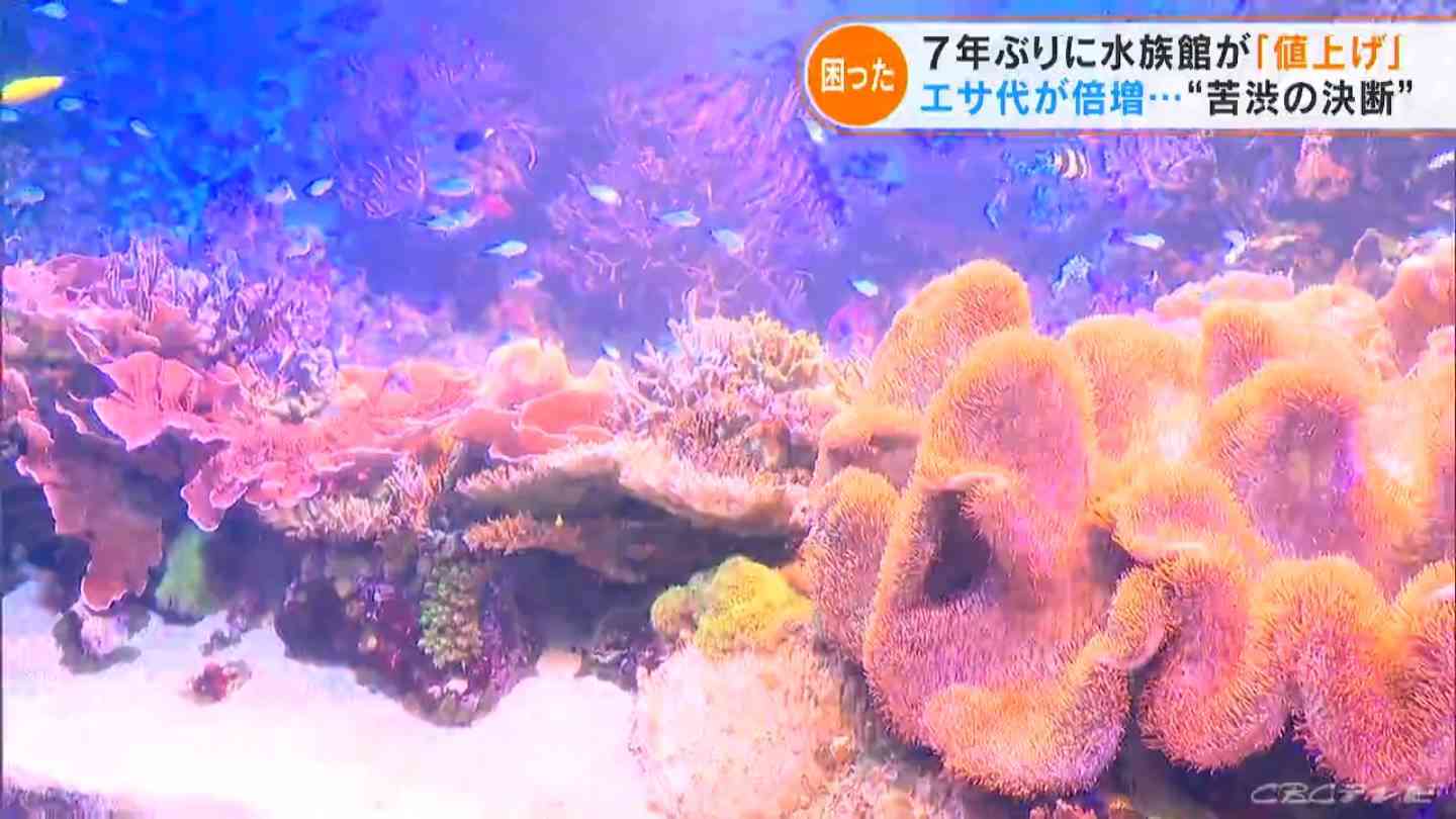 エサのサンマは5年前の倍の値段 三重の鳥羽水族館が入館料300円値上げで大人2800円に