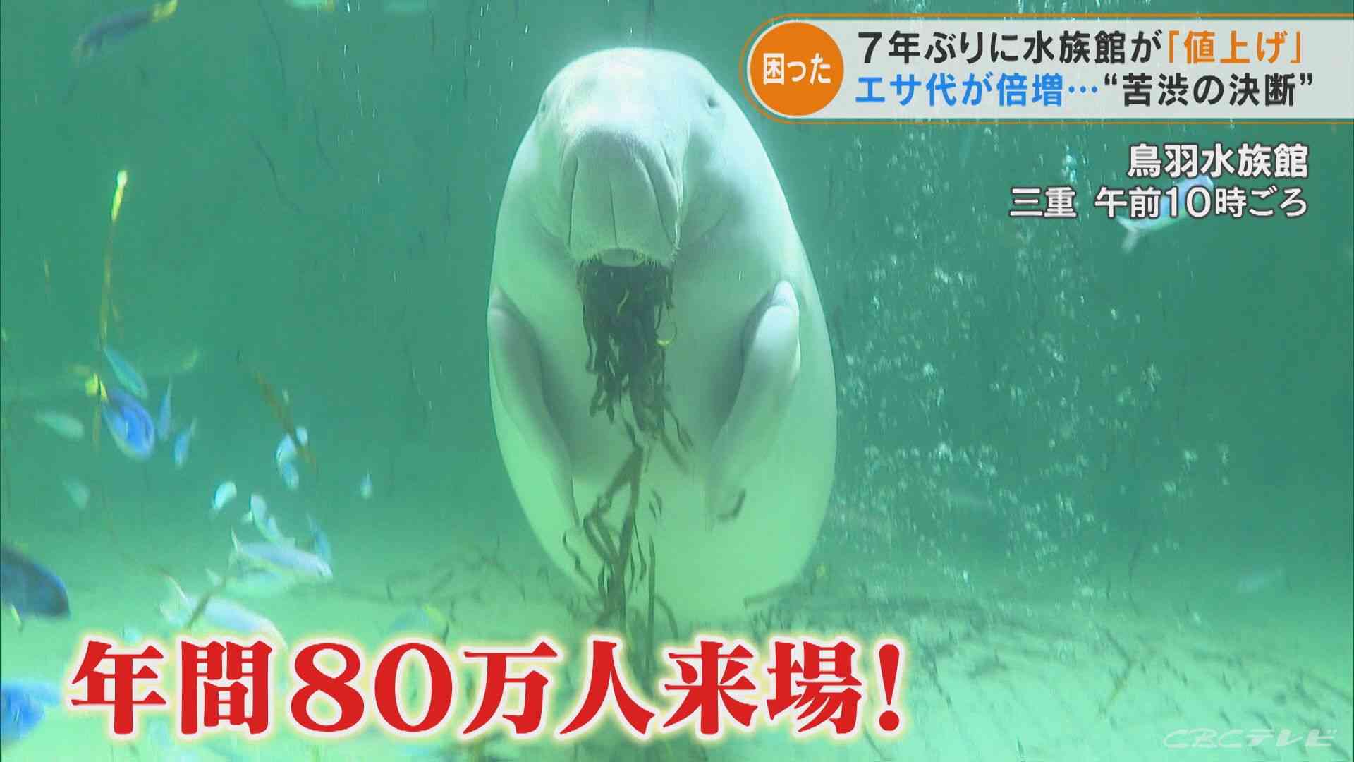 エサのサンマは5年前の倍の値段 三重の鳥羽水族館が入館料300円値上げで大人2800円に