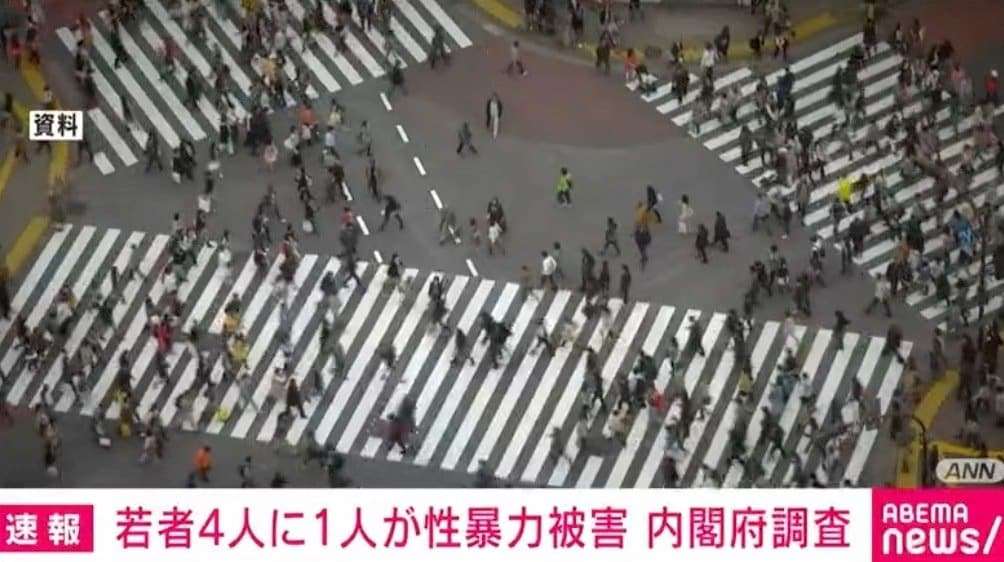 16～24歳の約4人に1人が「何らかの性暴力の被害にあったことがある」と回答 内閣府調査 | 国内 | ABEMA TIMES