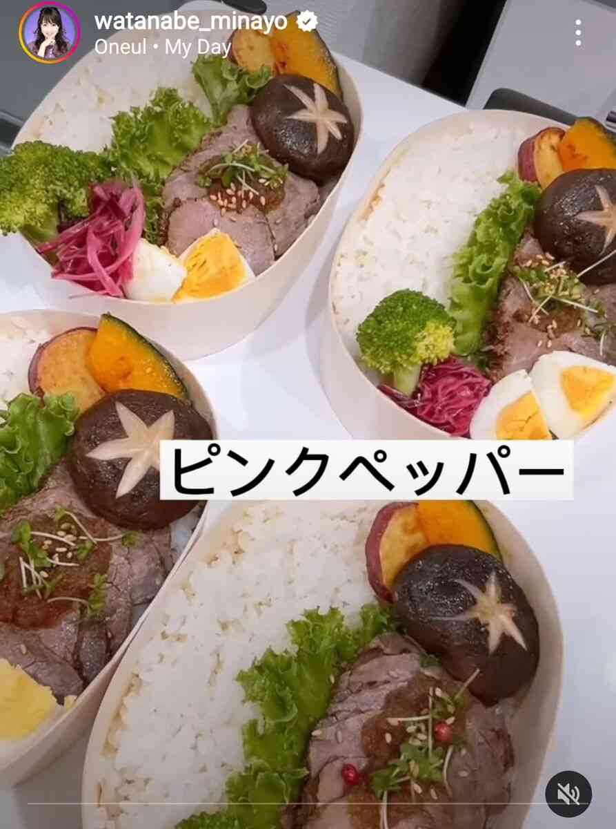 渡辺美奈代、家族4人分の手作りローストビーフ弁当が超豪華！詰め方のコツも「センス抜群」と反響