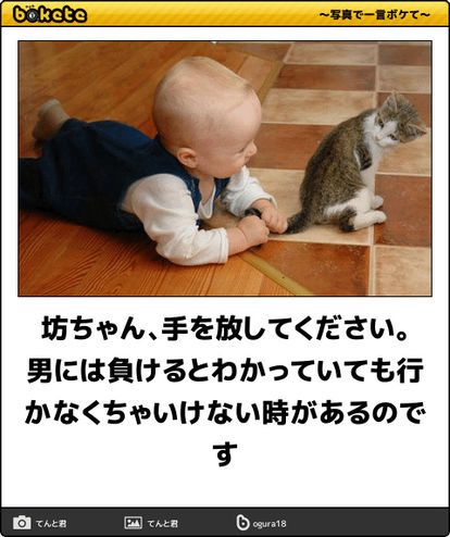 何度見ても秀逸だと思う「bokete」を貼っていくトピPart9