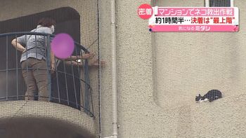 10階建てマンションの壁にネコ…「救出大作戦」“最上階”で決着 絆はより深く…