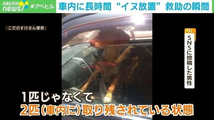 車内に犬2匹を長時間放置か…飼い主待つも現れず警察が保護 名古屋市