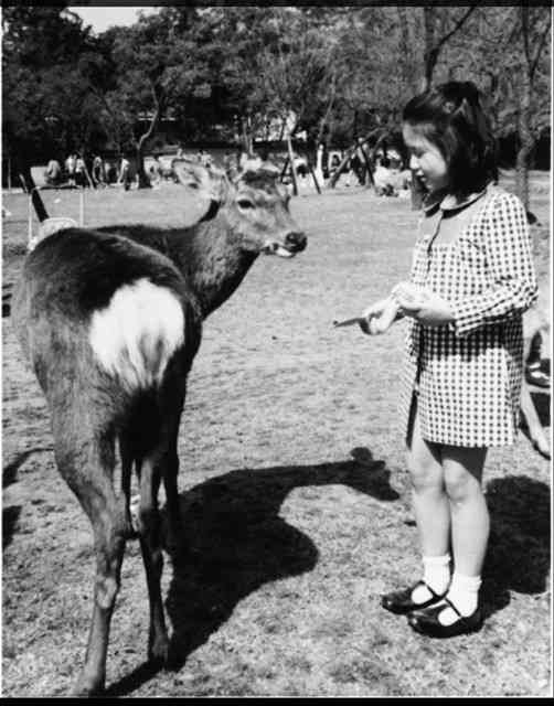横目する人、すること