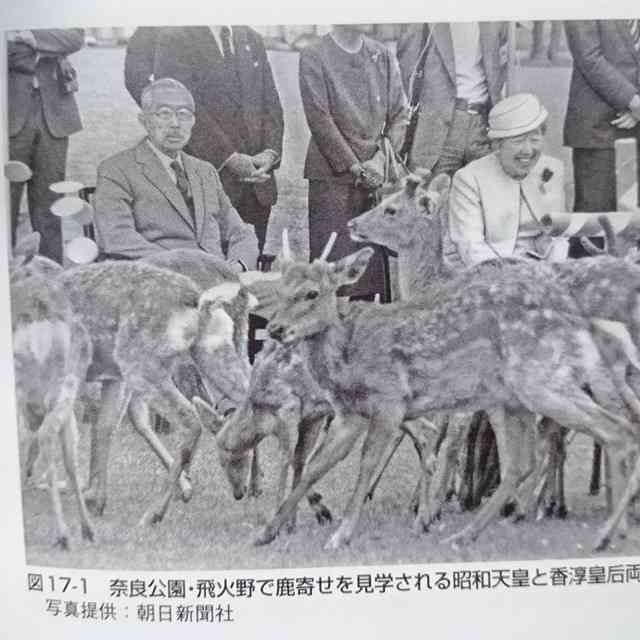 横目する人、すること