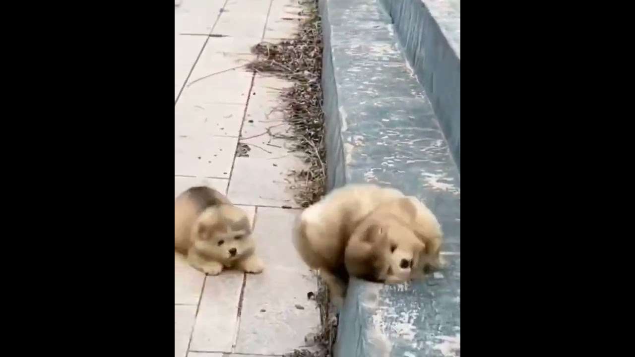 Friend ??? - YouTube