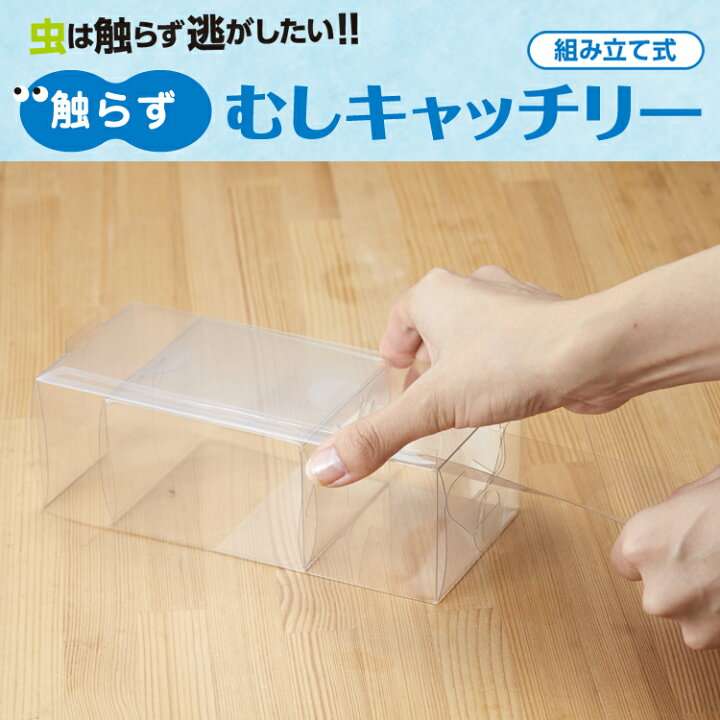SNSで話題“触らず虫逃がす”画期的グッズ 再生回数700万回超…大学生の発明を商品化