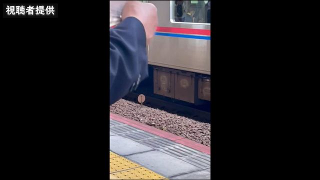 京成線が一時ストップ　原因は“カルガモの親子”
