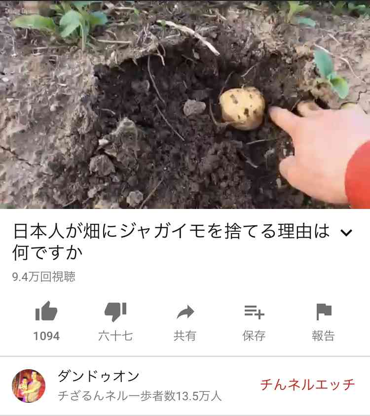 羊とヤギ9匹盗まれる？羊1匹だけ残された　地元住民「がっくり」