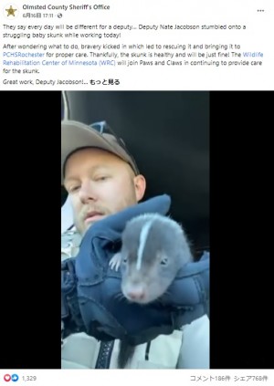 赤ちゃんスカンクを保護した保安官代理 「可愛すぎてどうしたらいいか分からない!」と悶絶(米)