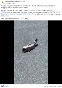 赤ちゃんスカンクを保護した保安官代理 「可愛すぎてどうしたらいいか分からない!」と悶絶(米)