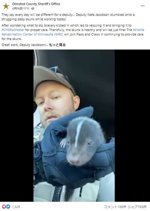 【海外発!Breaking News】赤ちゃんスカンクを保護した保安官代理 「可愛すぎてどうしたらいいか分からない!」と悶絶(米)<動画あり> | Techinsight(テックインサイト)|海外セレブ、国内エンタメのオンリーワンをお届けするニュースサイト