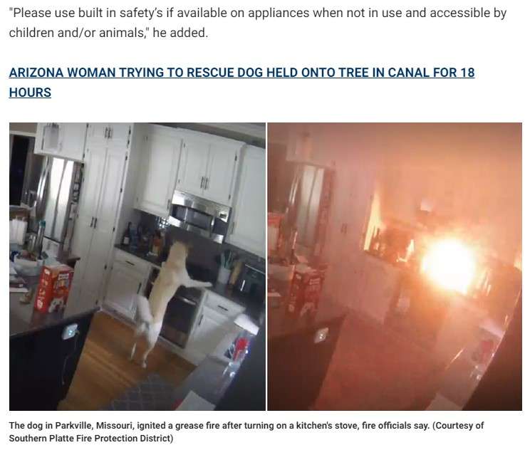 飼い主の留守中に犬がコンロのスイッチを作動させ家が大火事に(米)