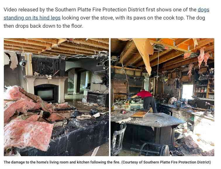 飼い主の留守中に犬がコンロのスイッチを作動させ家が大火事に(米)