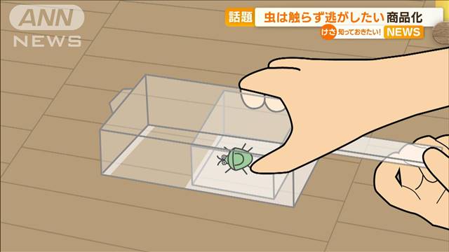 SNSで話題“触らず虫逃がす”画期的グッズ　再生回数700万回超…大学生の発明を商品化｜テレ朝news-テレビ朝日のニュースサイト