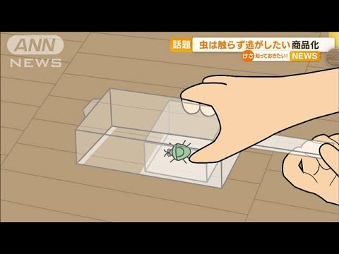 SNSで話題“触らず虫逃がす”画期的グッズ　再生回数700万回超…大学生の発明を商品化