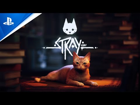 『Stray』 - YouTube