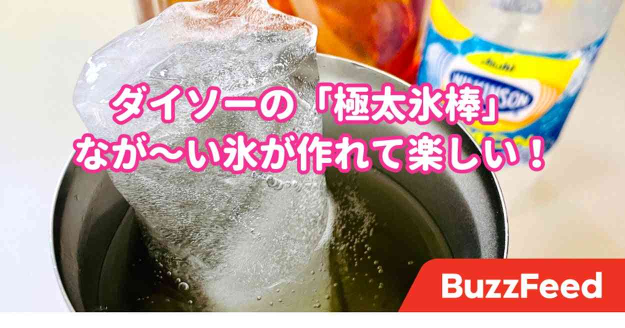 何これインパクトすごっ…！ダイソーの「なが〜い氷棒」つくるのが楽しすぎた！