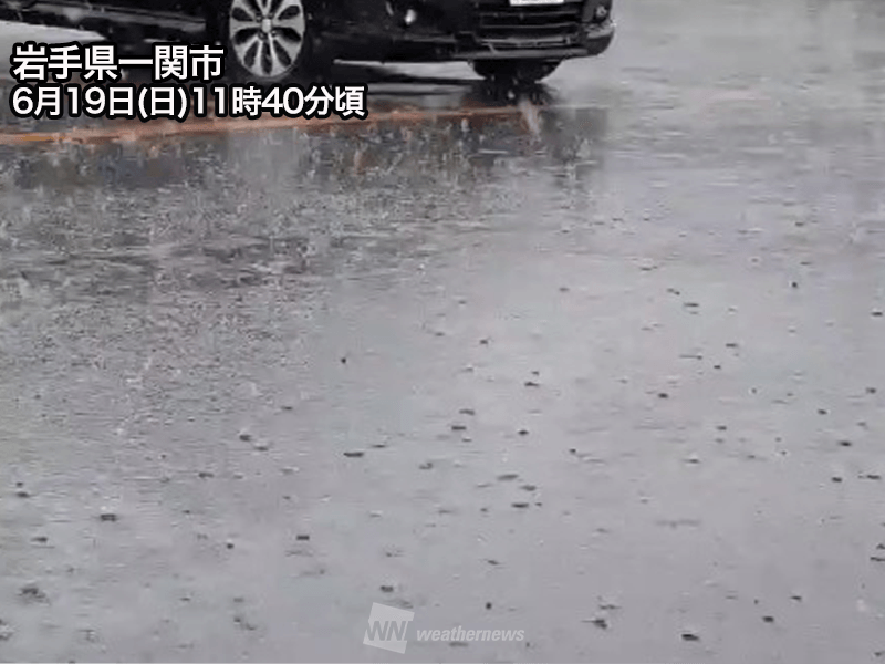 東北で活発な雨雲が発生　局地的なゲリラ雷雨に注意 - ウェザーニュース