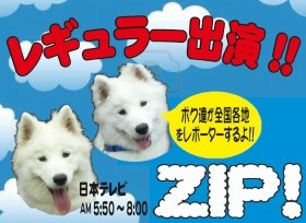 人気犬ジッペイ声帯手術に批判　提供元「出演目的の切除でない」: J-CAST ニュース【全文表示】