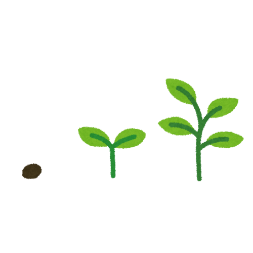 【ガーデニング】🌱 種蒔き・挿し芽・自家採種🌱【発芽・発根】