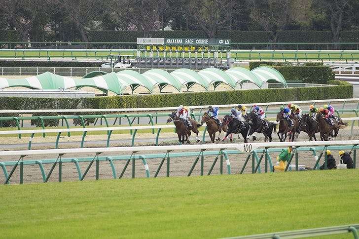 競馬の税金はいくらから？計算方法やばれる理由、確定申告の方法も解説 - ミツモア
