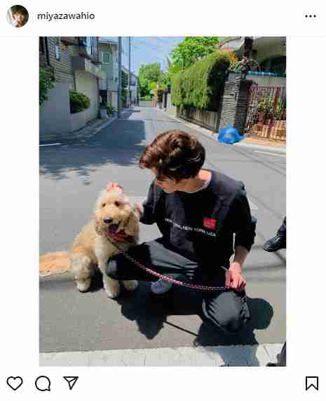 宮沢氷魚　愛犬とのほっこりショットが話題　「クルフワな二人」「癒やされます」