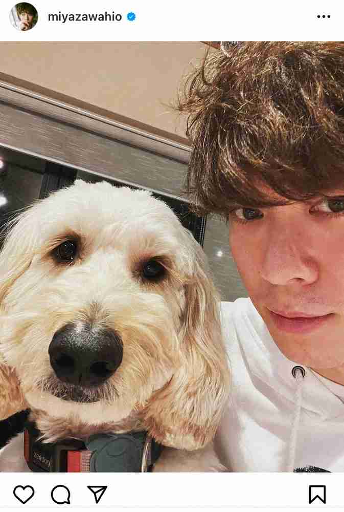 宮沢氷魚　愛犬とのほっこりショットが話題　「クルフワな二人」「癒やされます」