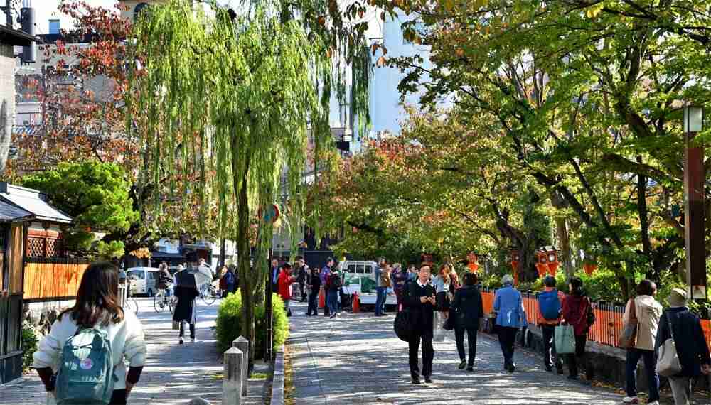 「におい」京都の景観に入る？　焼き鳥「煙」巡り、店側と地元対立｜社会｜地域のニュース｜京都新聞