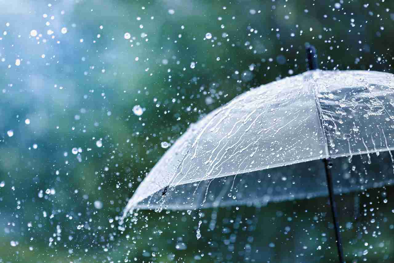 梅雨のいいところを教えて下さい【ネタ可】